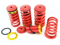 Пружины регулируемые Honda Civic 88-02 (алюм. крышка)