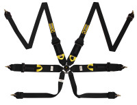 Beltenick ремень безопасности 6х точечный под HANS до 2031