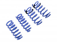 Triple S пружины под занижение Mercedes C-class W205 C250, C300 15+